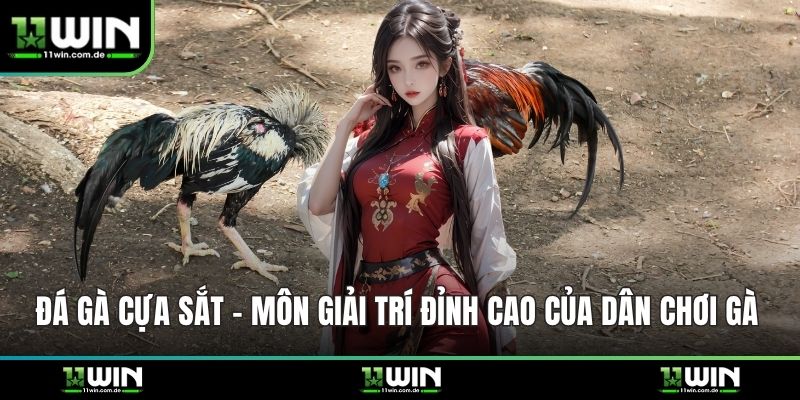 Đá gà cựa sắt