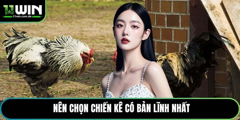 Nên chọn chiến kê có bản lĩnh nhất