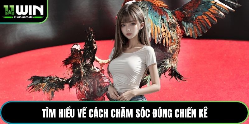 Tìm hiểu về cách chăm sóc đúng chiến kê